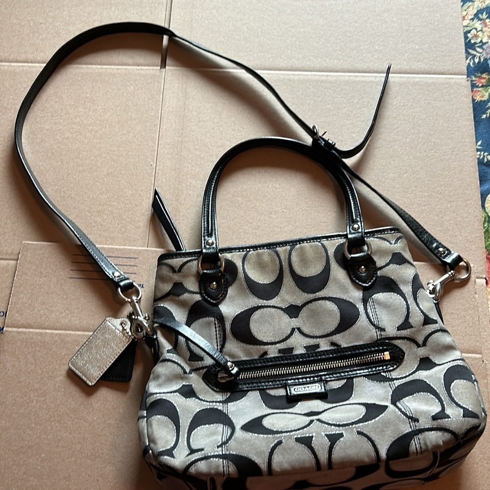 Coach Daisy Outline Signature Metallic Mia Purse